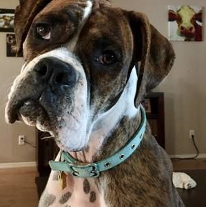 Meet your Posher, Tammy